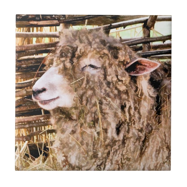 NIEDLICHE SCHUHE FLIESE (Vorderseite)