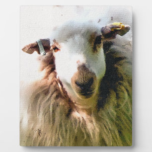 NIEDLICHE SCHUHE FOTOPLATTE