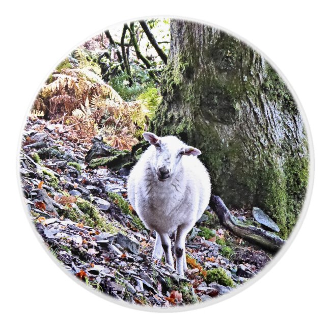 NIEDLICHE SCHUHE KERAMIKKNAUF (Vorderseite)