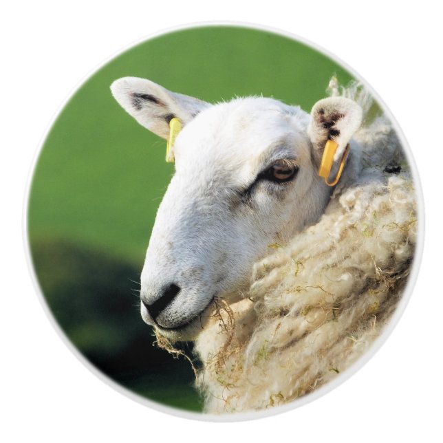 NIEDLICHE SCHUHE KERAMIKKNAUF (Vorderseite)