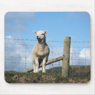 NIEDLICHE SCHUHE MOUSEPAD