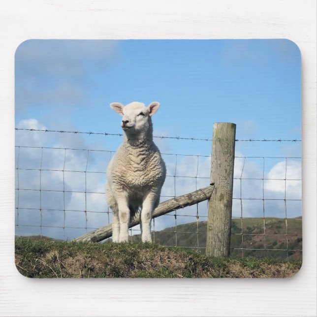 NIEDLICHE SCHUHE MOUSEPAD (Vorne)