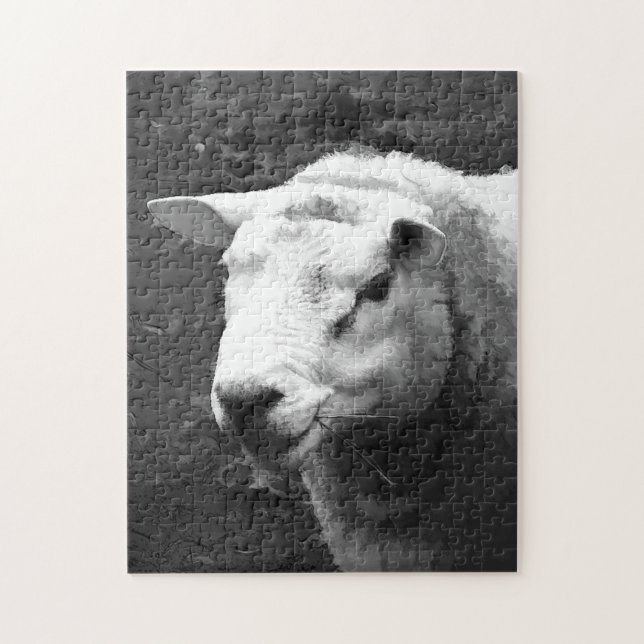 NIEDLICHE SCHUHE PUZZLE (Vertikal)