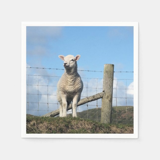 NIEDLICHE SCHUHE SERVIETTE (Vorderseite)