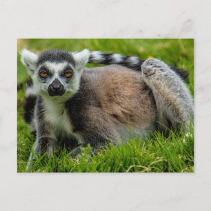 Niedliche Schwanz-Lemdesign-Produkte Postkarte