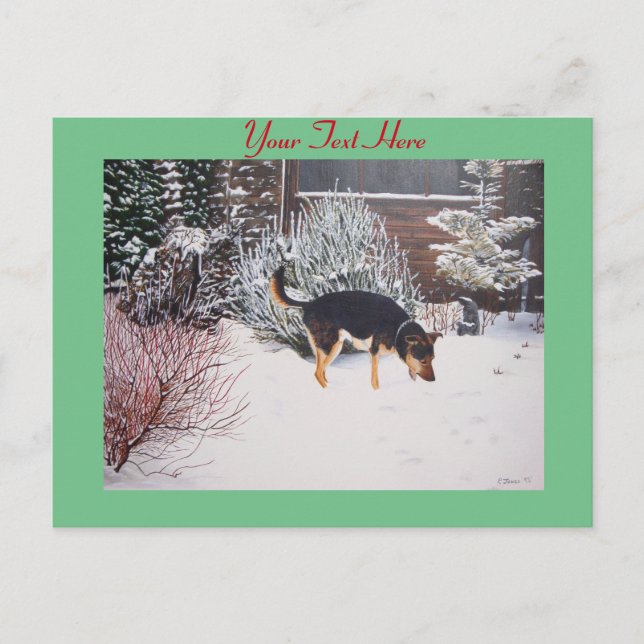 niedliche Schwarz-Bein-Hund-Winterschnee-Szene Postkarte (Vorderseite)