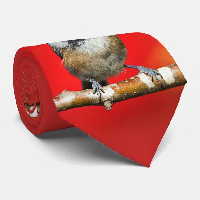 Niedliche schwarz gekappte Chickade mit roten Herb Krawatte (Gerollt)