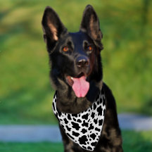 Niedliche Schwarz-Weiß-Kuh