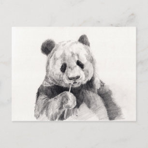 Niedliche Schwarz-Weiß-Panda-Illustration Postkarte