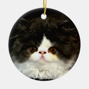 Niedliche Schwarz-weiße Katzenkatze Keramik Ornament