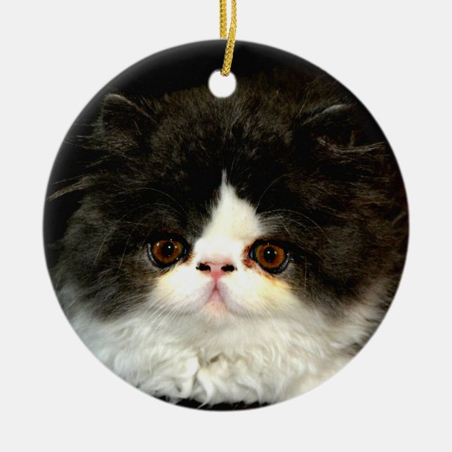 Niedliche Schwarz-weiße Katzenkatze Keramik Ornament (Vorne)