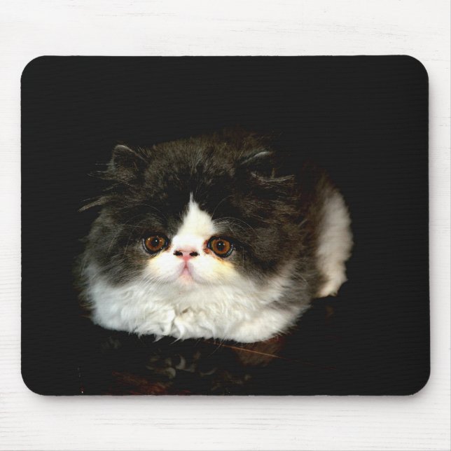 Niedliche Schwarz-weiße Katzenkatze Mousepad (Vorne)