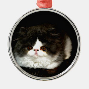 Niedliche Schwarz-weiße Katzenkatze Silbernes Ornament