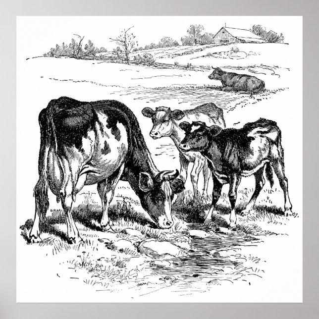 Niedliche Schwarz-weiße Kühe Dekoration Plakat Vin (Vorne)