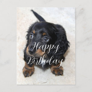 Niedliche schwarze Dackel Welpe Hund Geburtstag Postkarte