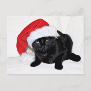 Niedliche Schwarze Katze mit Weihnachtsmannmütze Postkarte