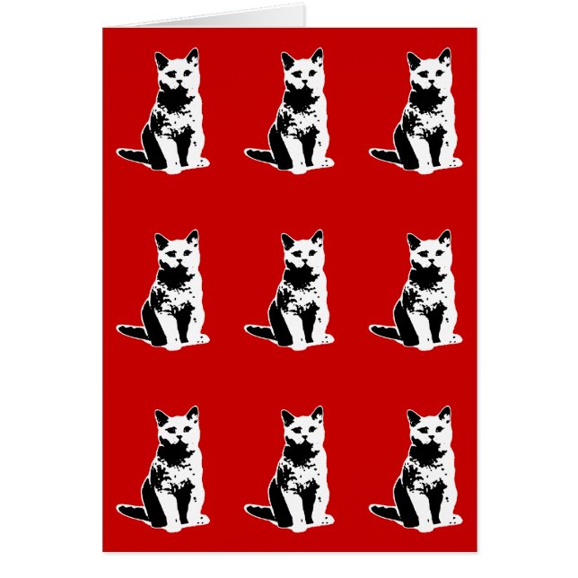 niedliche schwarze Katzen (Vorne)