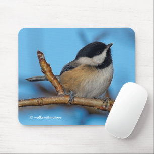 Niedliche Schwarzkichererbse auf Birnbaum Mousepad