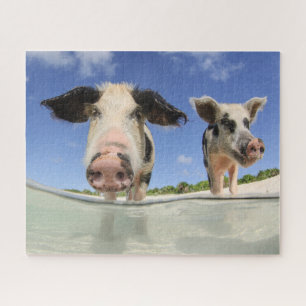 Niedliche Schweine am Strand Jigsaw Puzzle