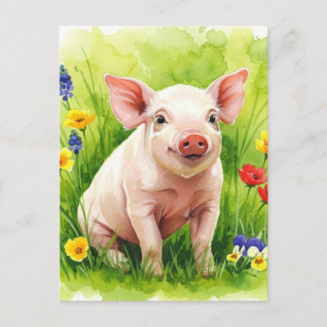 Niedliche Schweinebrennblumen Jungtiere Postkarte (Vorderseite)