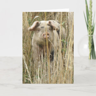 Niedliche Schweinekarte Karte