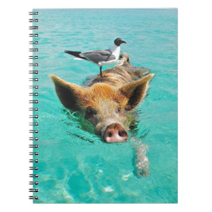 Niedliche Schweinschwimmen im Wasser Notizblock