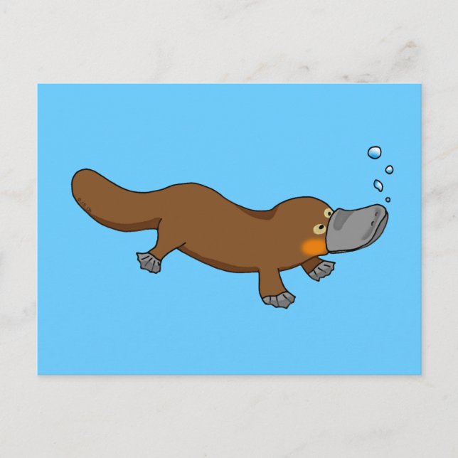 Niedliche Schwimmenfleckenplatypus Postkarte (Vorderseite)