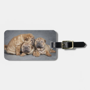 Niedliche Shar Pei Welpen Gepäckanhänger