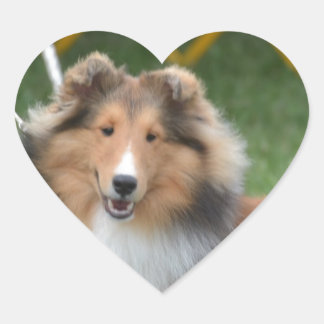 Niedliche Sheltie Herz-Aufkleber