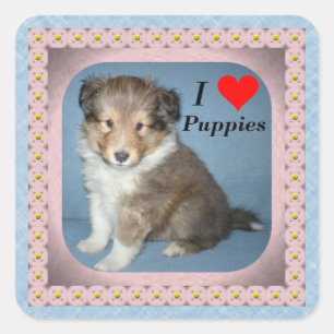 Niedliche Shetland Sheepdog Puppy Docking Stickers