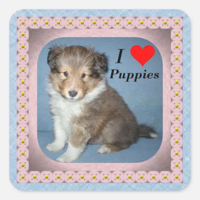 Niedliche Shetland Sheepdog Puppy Docking Stickers (Vorderseite)
