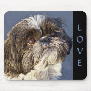 Niedliche Shih Tzu Lover Welpe Hund Mama Mousepad