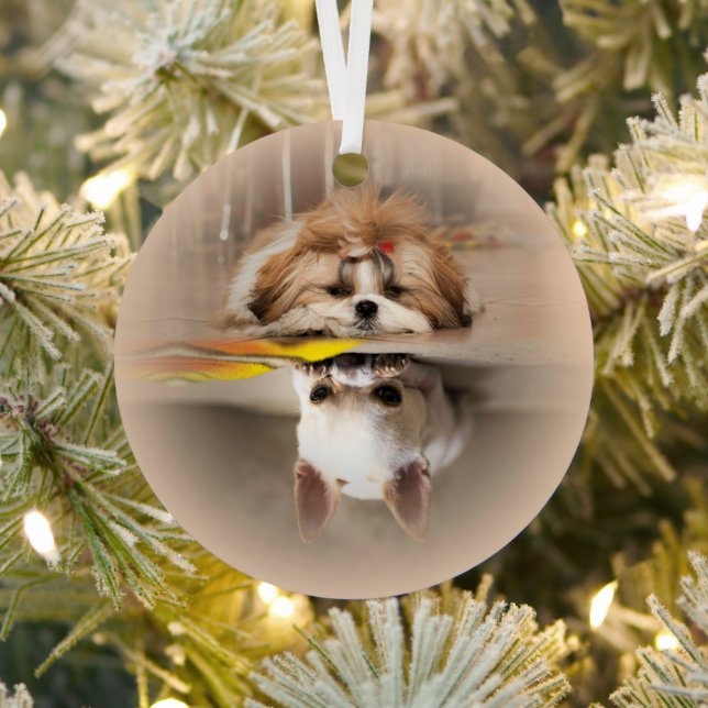 Niedliche shih tzu und chihuahua ornament aus metall (InSitu)