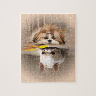 Niedliche shih tzu und chihuahua puzzle