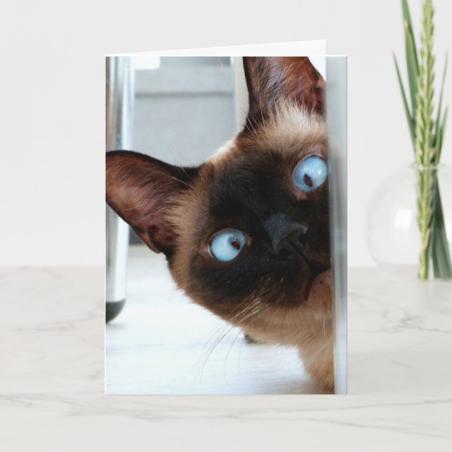 NIEDLICHE SIAMESE CAT HAPPY BIRTHDAY CARD KARTE (Vorderseite)