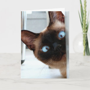 NIEDLICHE SIAMESE CAT HAPPY BIRTHDAY CARD KARTE