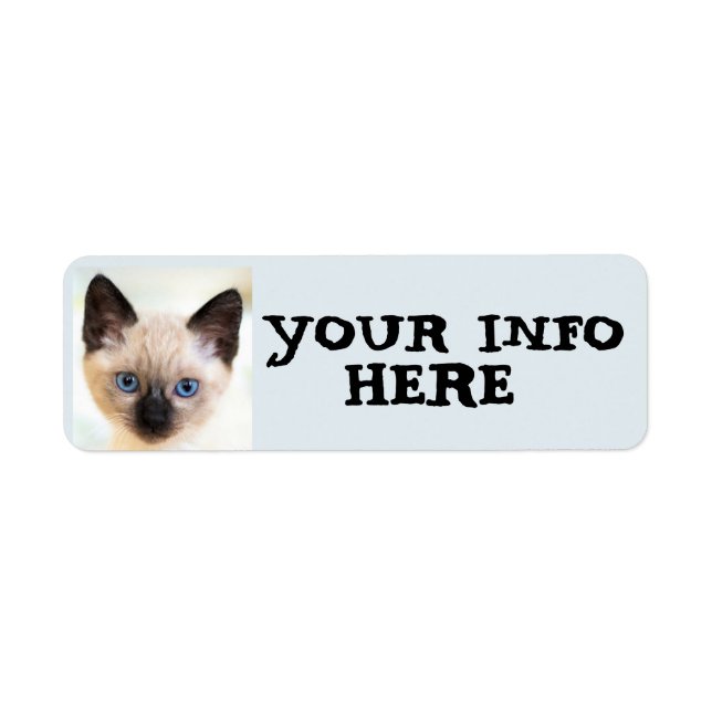 NIEDLICHE SIAMESE CAT KITTEN-RÜCKSENDEADRESSEN-AUF (Vorne)