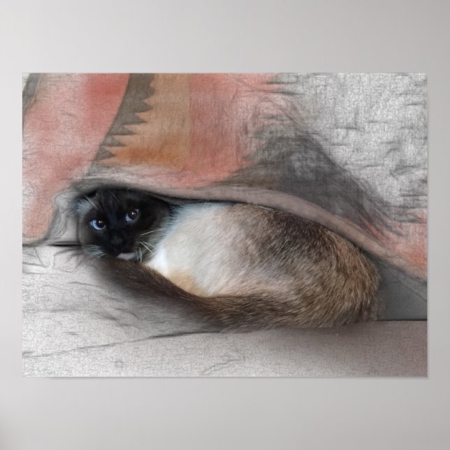 Niedliche siamesische Kätzchen unter einer Decke Poster (Vorne)