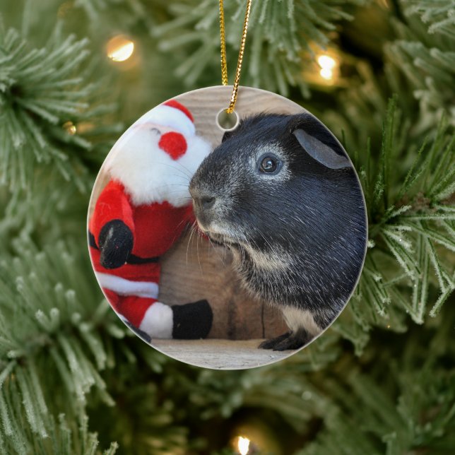 Niedliche Silver Fox Guinea PIg und Weihnachtsmann Keramikornament (Baum)