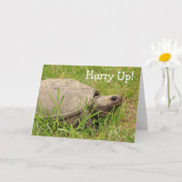 Niedliche Snack Turtle Get Well Card