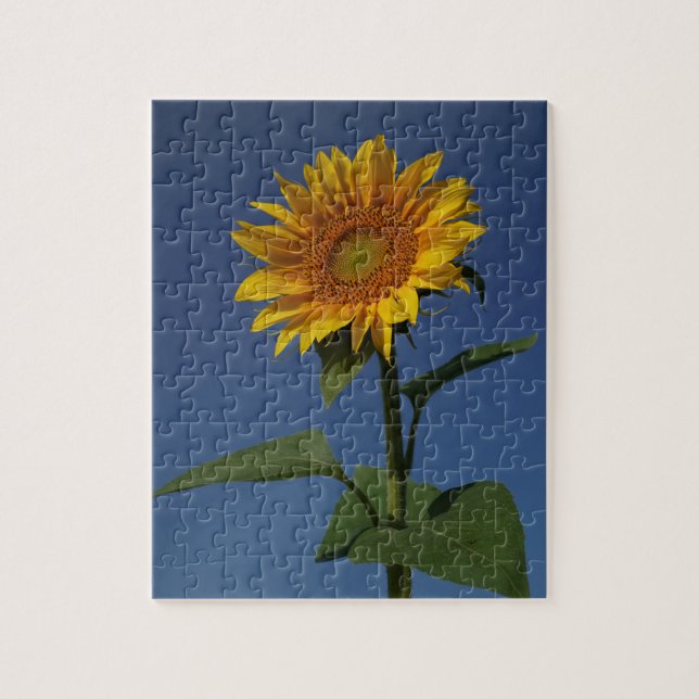 niedliche Sonnenblumenlandschaft Puzzle (Vertikal)