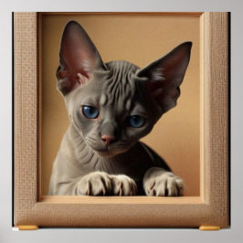 Niedliche Sphynx-Katzenkatze dunkle Farbe Poster