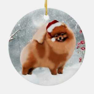 Niedliche Spitz-Sankt-Winter-Verzierung Keramik Ornament
