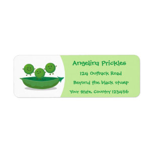 Niedliche Springererbsen in der Darstellung des Ca