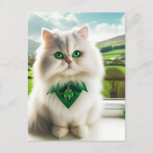 Niedliche St. Patricks Day Katze Fluffy White Cat Postkarte