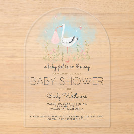 Niedliche Stork Baby-Dusche Acryleinladungen