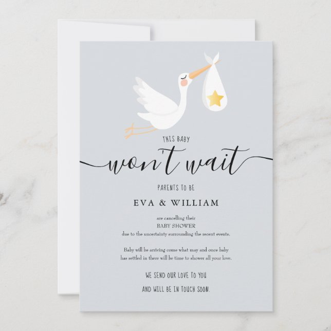 Niedliche Stork Baby Dusche Sprinkle Stornierungsk Einladung (Vorderseite)