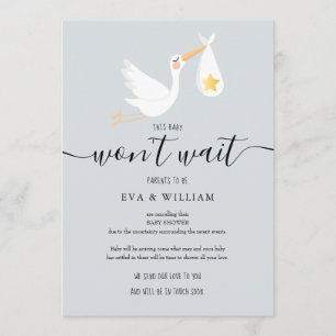 Niedliche Stork Baby Dusche Sprinkle Stornierungsk Einladung