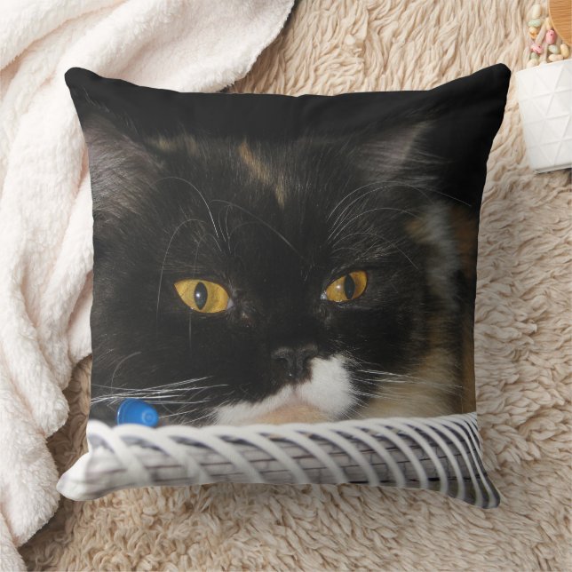 Niedliche Studentenkatze Kissen (Decke)