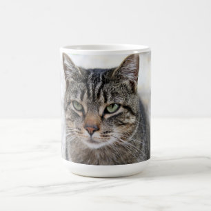 Niedliche, süße, bezaubernde KatzenTasse Kaffeetasse